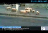 � ������ �������� ��������� ��������� ��-�� ����� ������