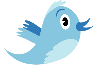 � ������ ��������� ������ �� ������� � ������ � Twitter ���������: ��� ����, �������� ����� ��������