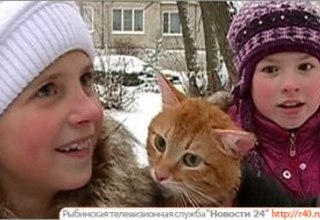 котенок кадр рыбинск-40.jpg котенок кадр рыбинск-40.jpg