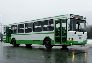 автобусы.jpg автобусы.jpg