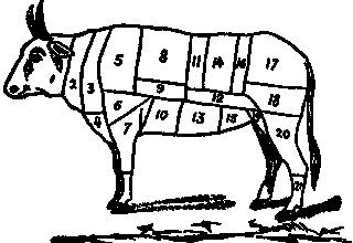 Говядина.gif Говядина.gif